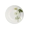 Dibbern Speiseteller 26 Cm Herbaticum Dill 7